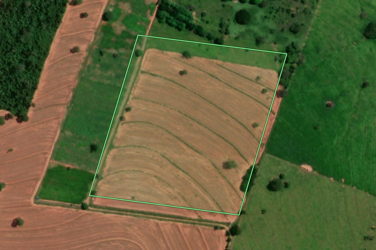 Imagem de satélite do imóvel rural em Martinópolis (SP), com o contorno declarado no CAR desenhado por cima.