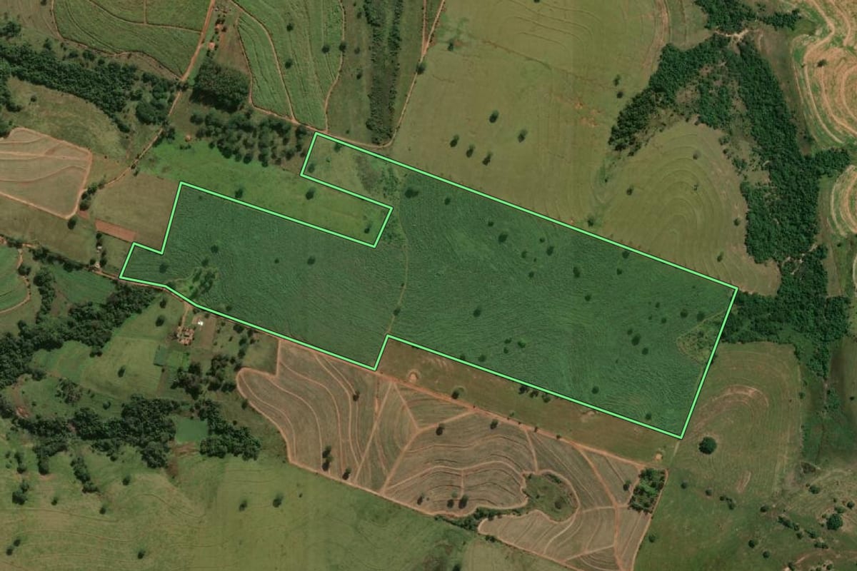 Imagem de satélite do imóvel rural em Martinópolis (SP), com o contorno declarado no CAR desenhado por cima.