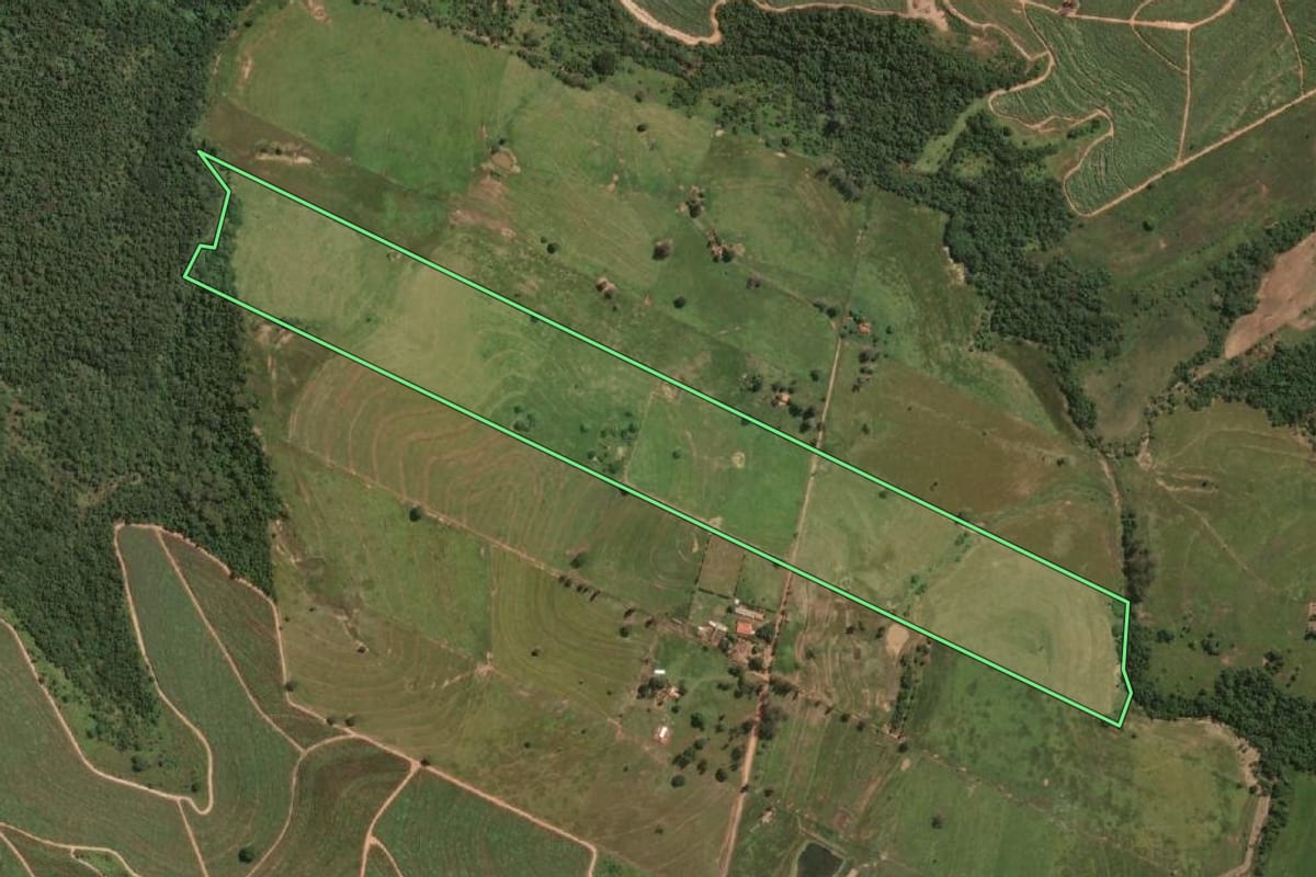 Imagem de satélite do imóvel rural em Martinópolis (SP), com o contorno declarado no CAR desenhado por cima.