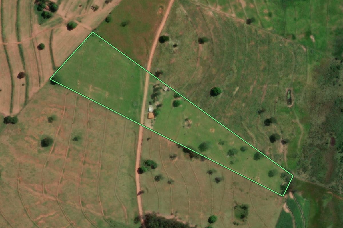 Imagem de satélite do imóvel rural em Martinópolis (SP), com o contorno declarado no CAR desenhado por cima.