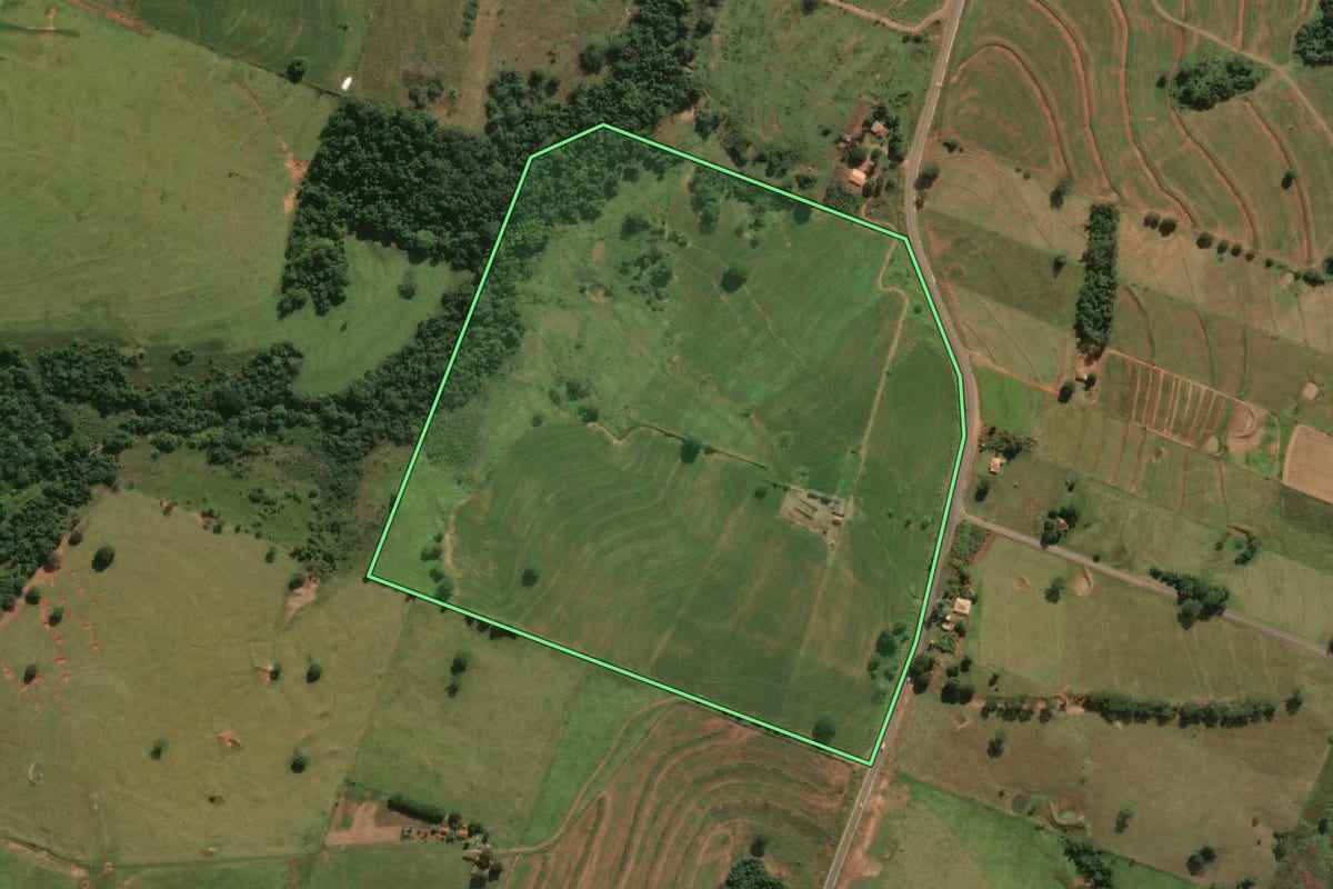 Imagem de satélite do imóvel rural em Martinópolis (SP), com o contorno declarado no CAR desenhado por cima.