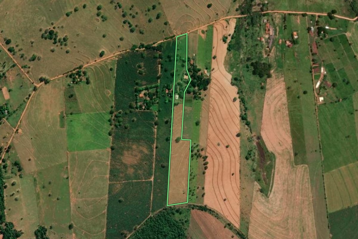 Imagem de satélite do imóvel rural em Martinópolis (SP), com o contorno declarado no CAR desenhado por cima.
