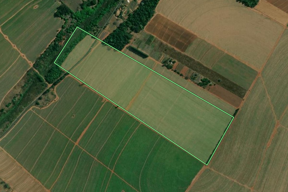 Imagem de satélite do imóvel rural em Matão (SP), com o contorno declarado no CAR desenhado por cima.