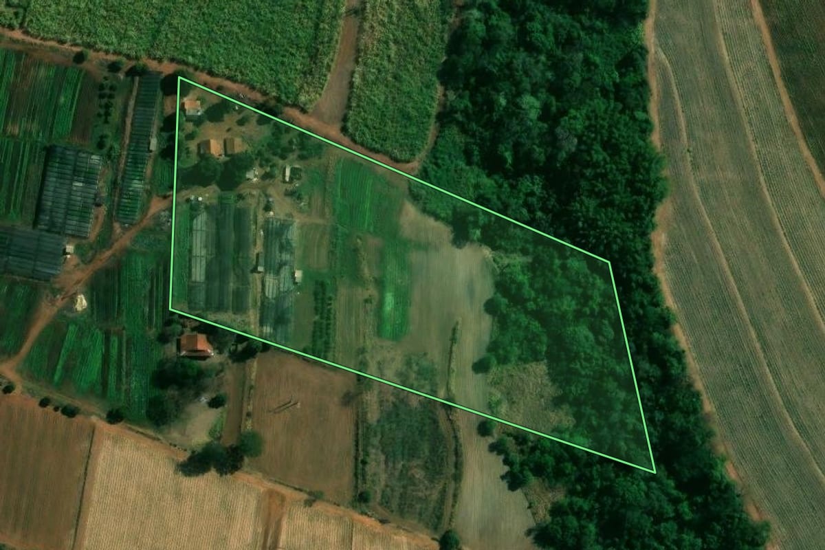 Imagem de satélite do imóvel rural em Matão (SP), com o contorno declarado no CAR desenhado por cima.