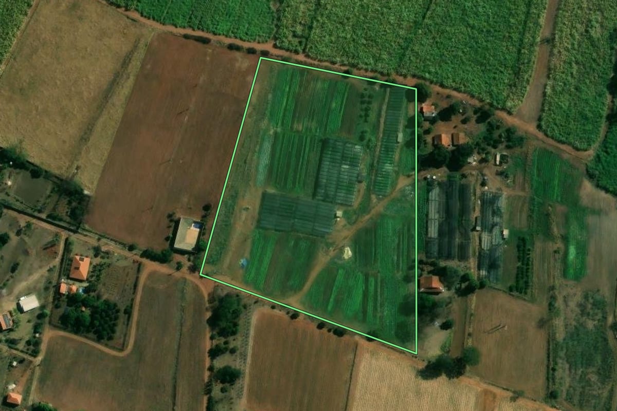 Imagem de satélite do imóvel rural em Matão (SP), com o contorno declarado no CAR desenhado por cima.