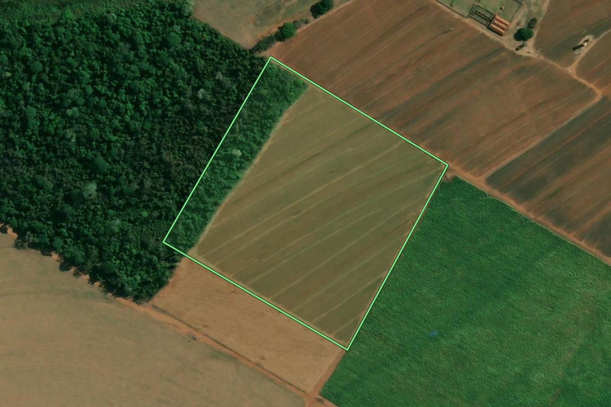 Imagem de satélite do imóvel rural em Matão (SP), com o contorno declarado no CAR desenhado por cima.