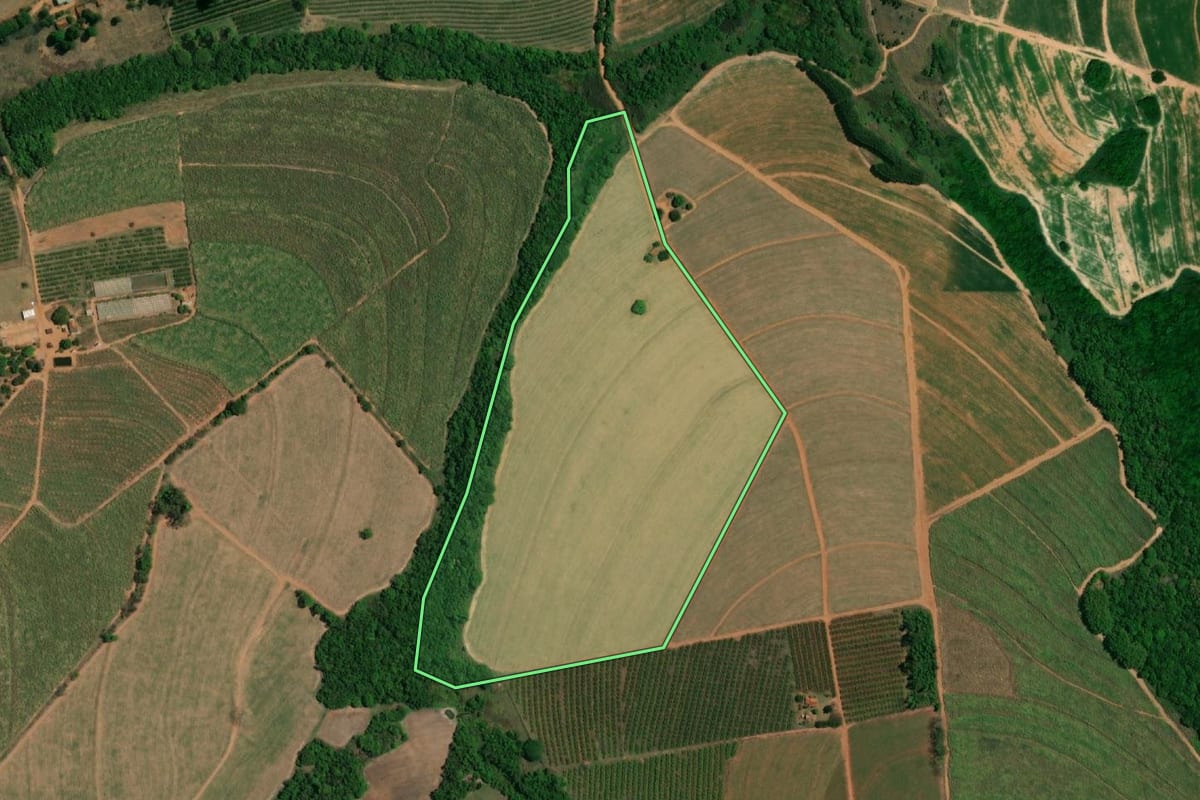 Imagem de satélite do imóvel rural em Matão (SP), com o contorno declarado no CAR desenhado por cima.