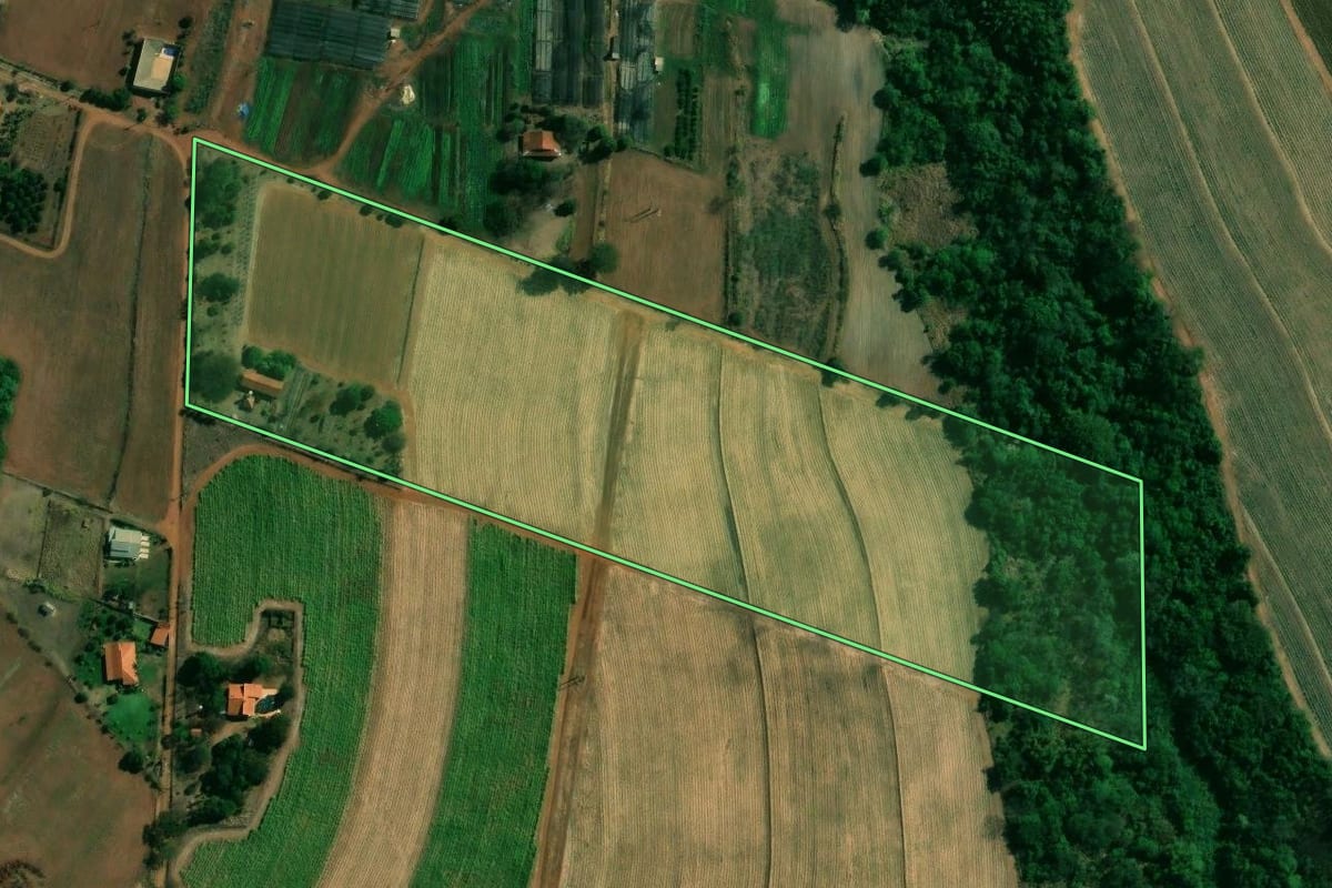 Imagem de satélite do imóvel rural em Matão (SP), com o contorno declarado no CAR desenhado por cima.
