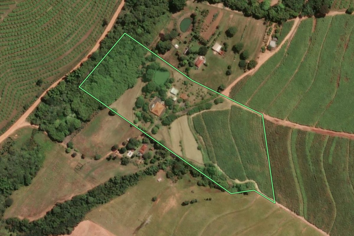 Imagem de satélite do imóvel rural em Matão (SP), com o contorno declarado no CAR desenhado por cima.