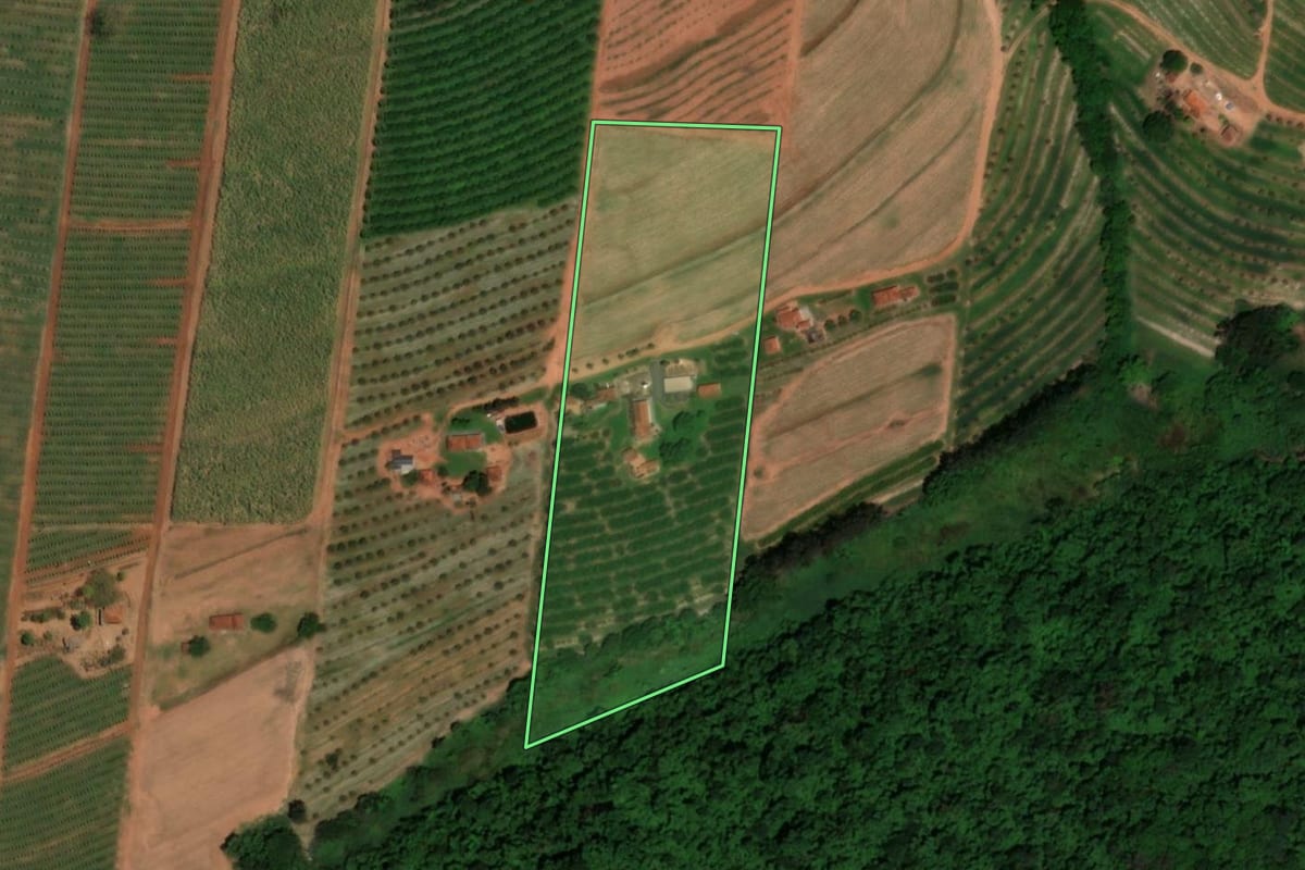 Imagem de satélite do imóvel rural em Matão (SP), com o contorno declarado no CAR desenhado por cima.