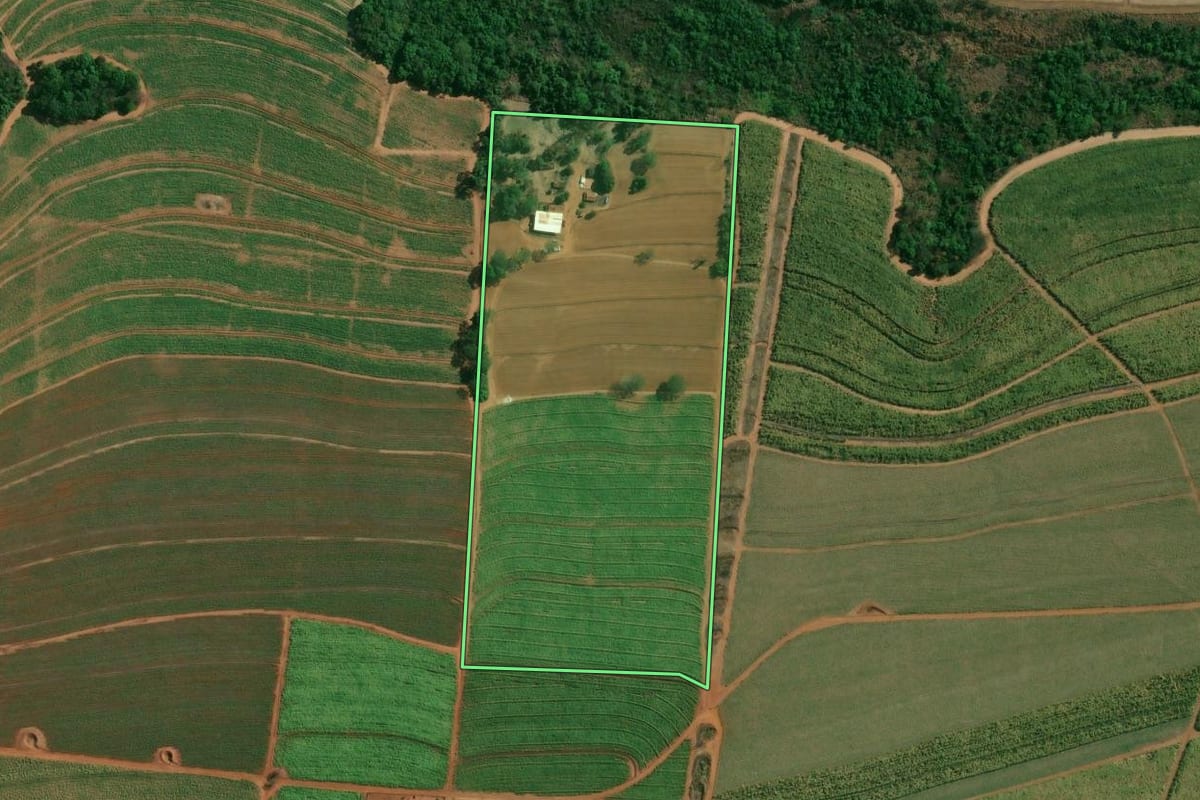Imagem de satélite do imóvel rural em Matão (SP), com o contorno declarado no CAR desenhado por cima.