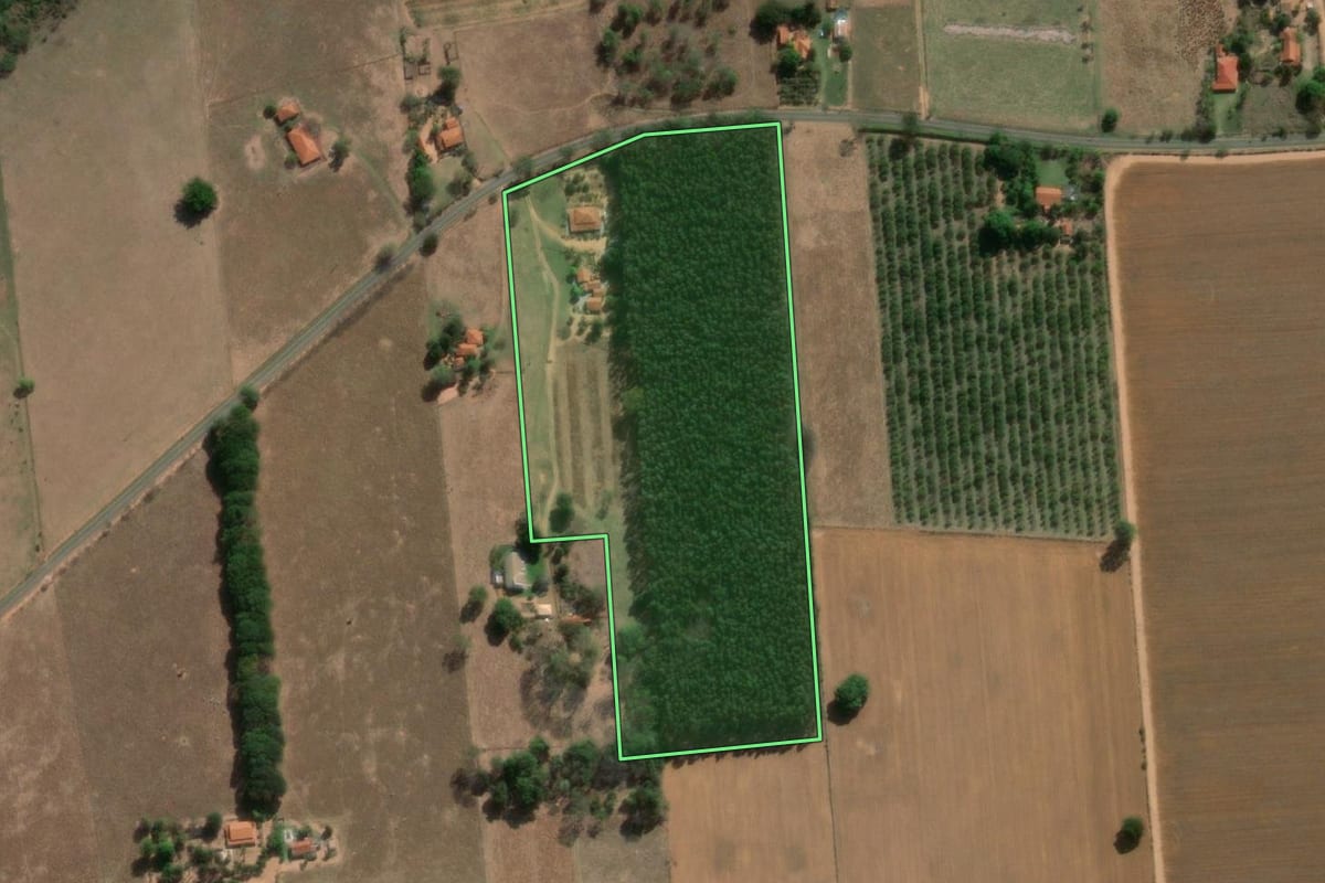 Imagem de satélite do imóvel rural em Mendonça (SP), com o contorno declarado no CAR desenhado por cima.
