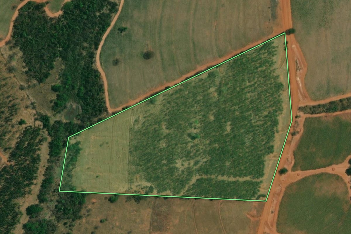 Imagem de satélite do imóvel rural em Mendonça (SP), com o contorno declarado no CAR desenhado por cima.