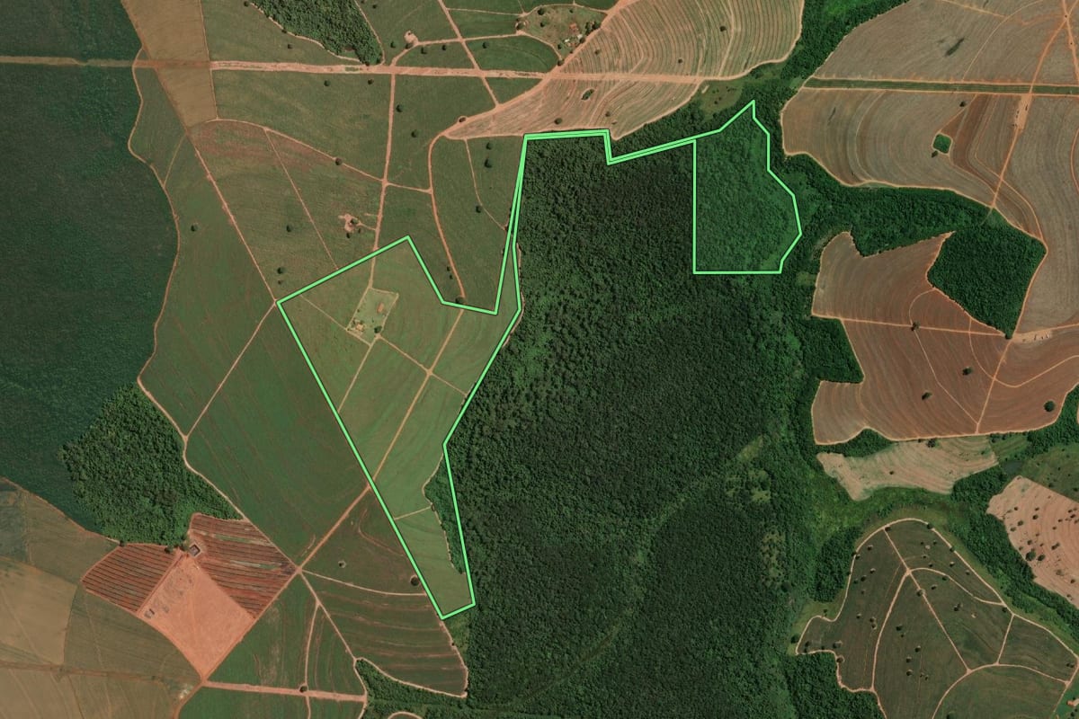 Imagem de satélite do imóvel rural em Mendonça (SP), com o contorno declarado no CAR desenhado por cima.