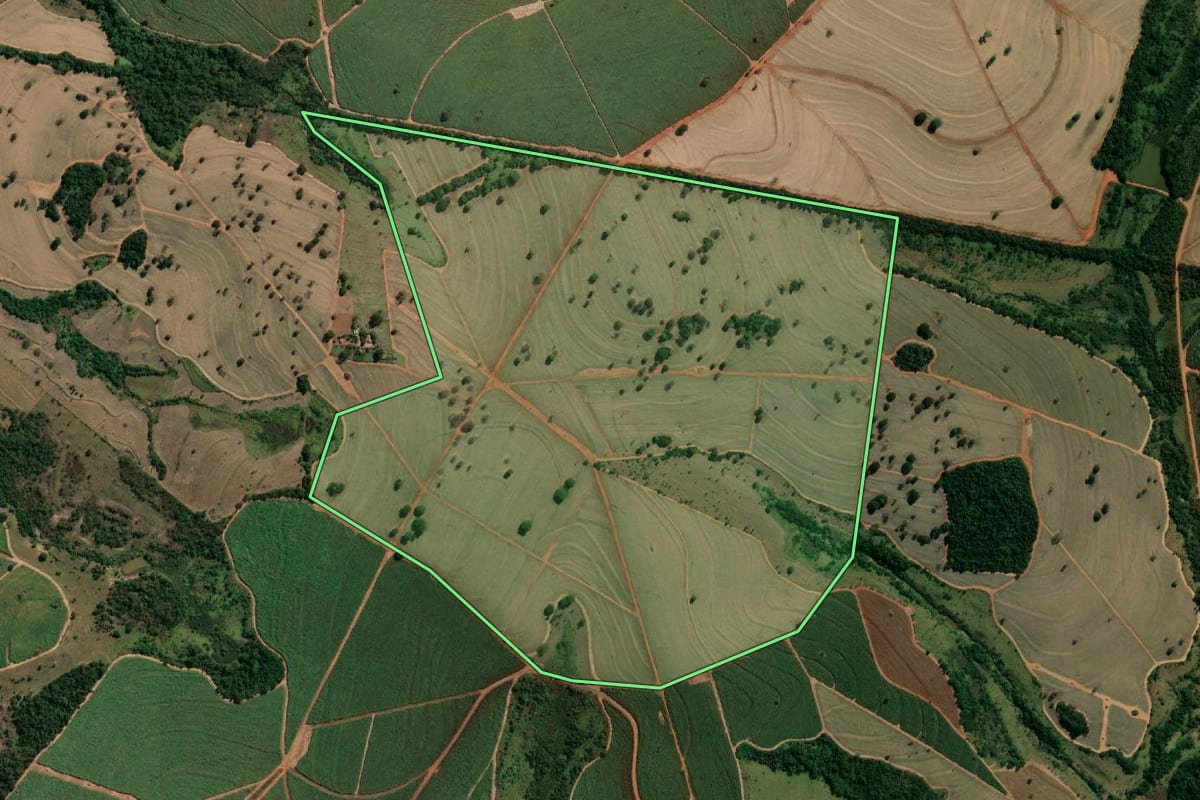 Imagem de satélite do imóvel rural em Meridiano (SP), com o contorno declarado no CAR desenhado por cima.