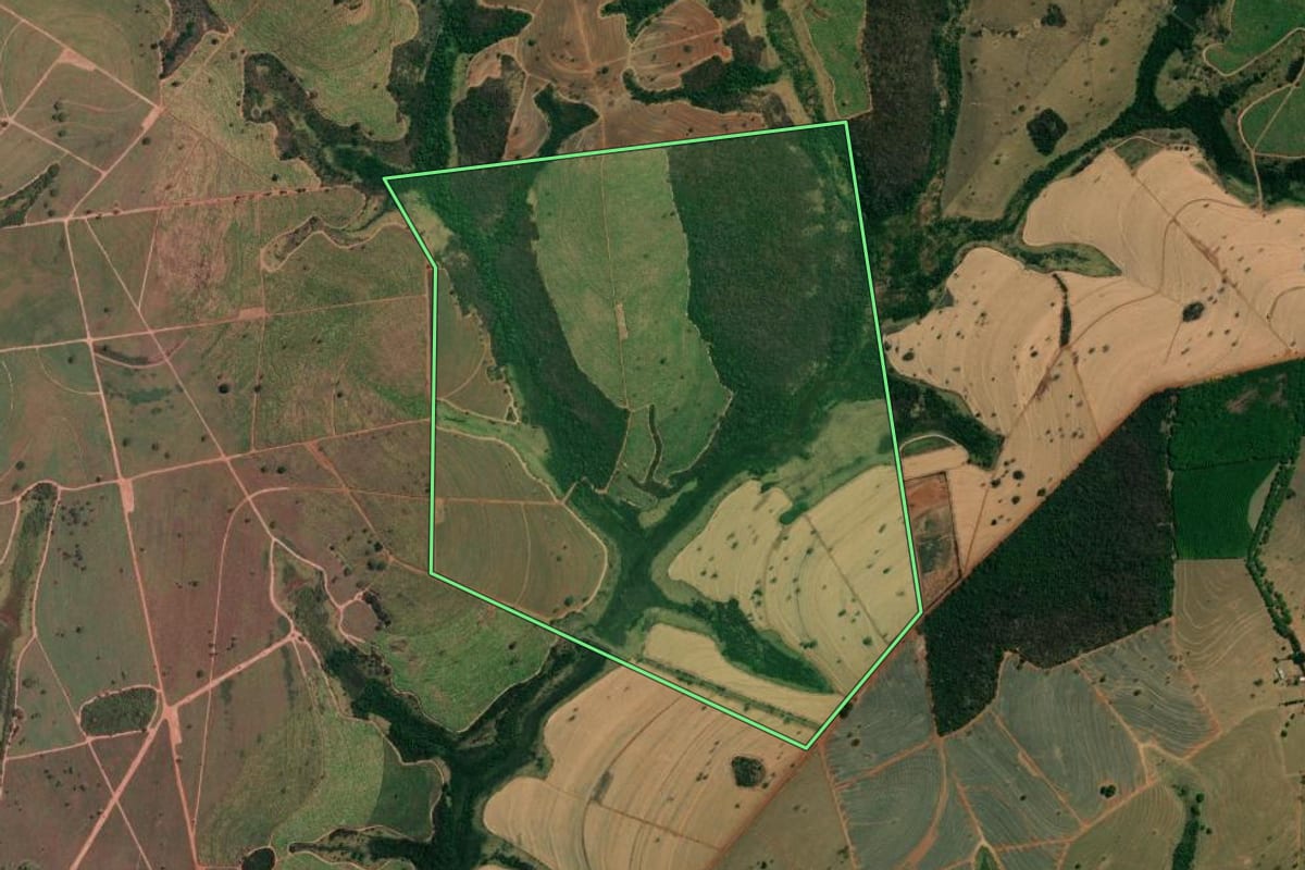 Imagem de satélite do imóvel rural em Meridiano (SP), com o contorno declarado no CAR desenhado por cima.
