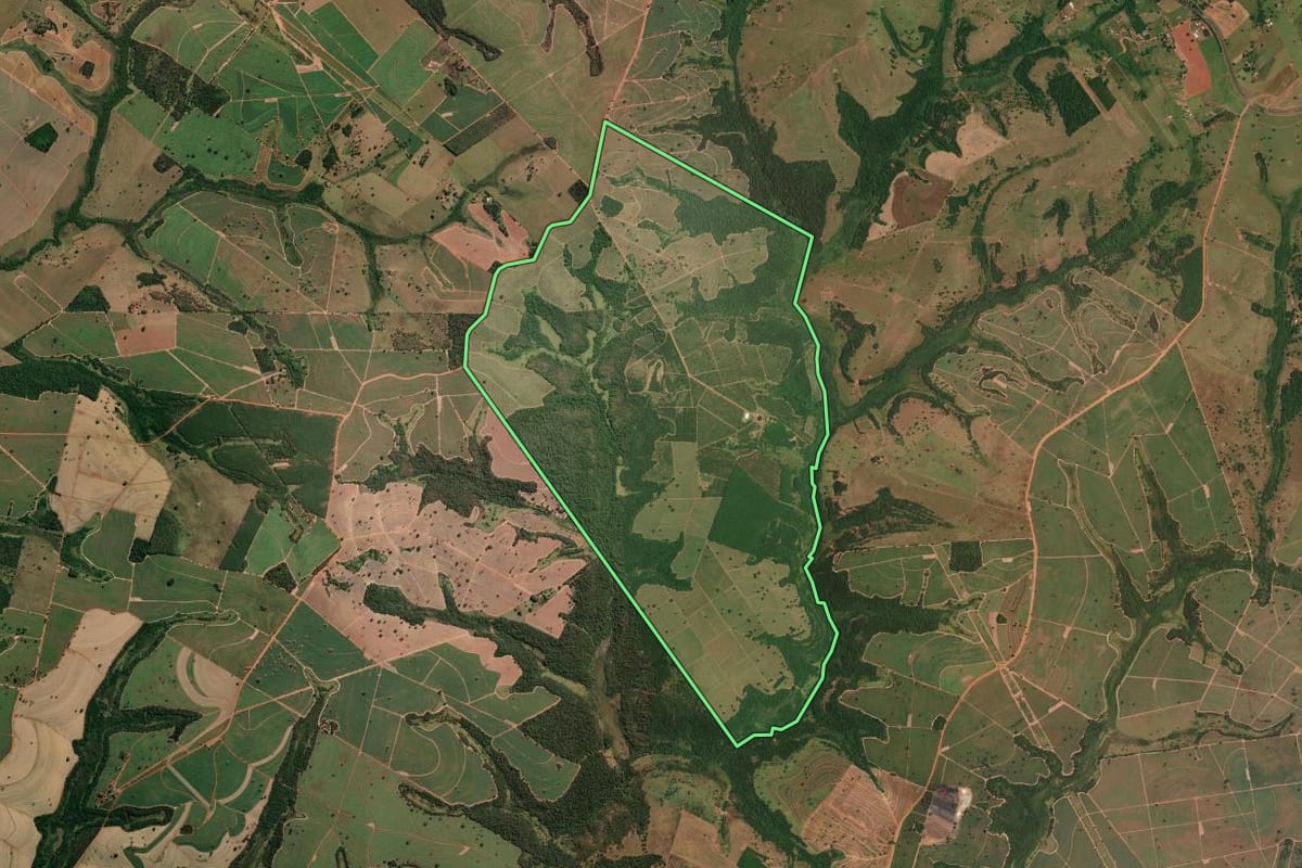 Imagem de satélite do imóvel rural em Meridiano (SP), com o contorno declarado no CAR desenhado por cima.