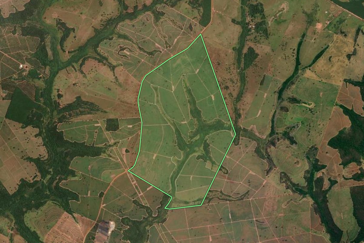 Imagem de satélite do imóvel rural em Meridiano (SP), com o contorno declarado no CAR desenhado por cima.