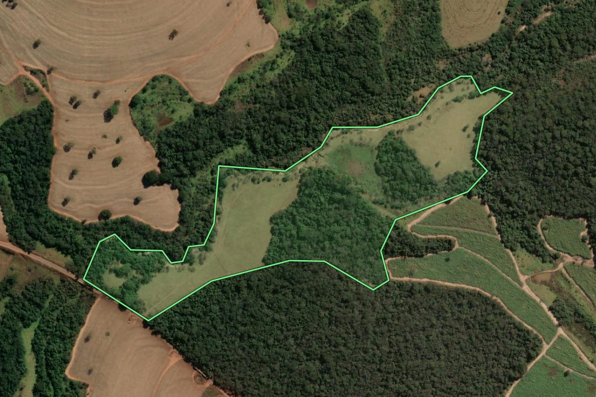 Imagem de satélite do imóvel rural em Meridiano (SP), com o contorno declarado no CAR desenhado por cima.