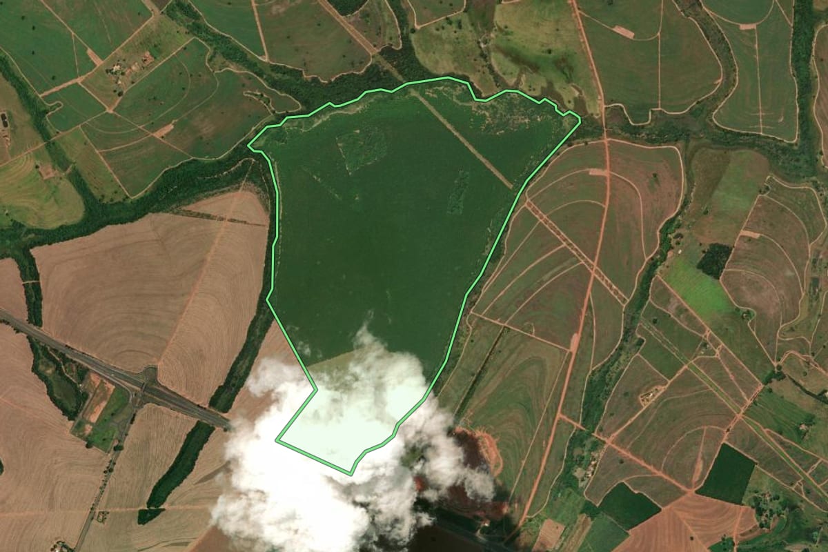 Imagem de satélite do imóvel rural em Meridiano (SP), com o contorno declarado no CAR desenhado por cima.