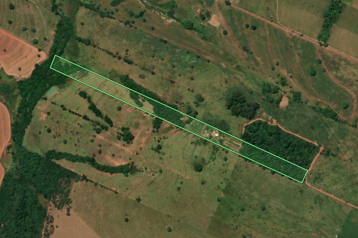 Imagem de satélite do imóvel rural em Meridiano (SP), com o contorno declarado no CAR desenhado por cima.