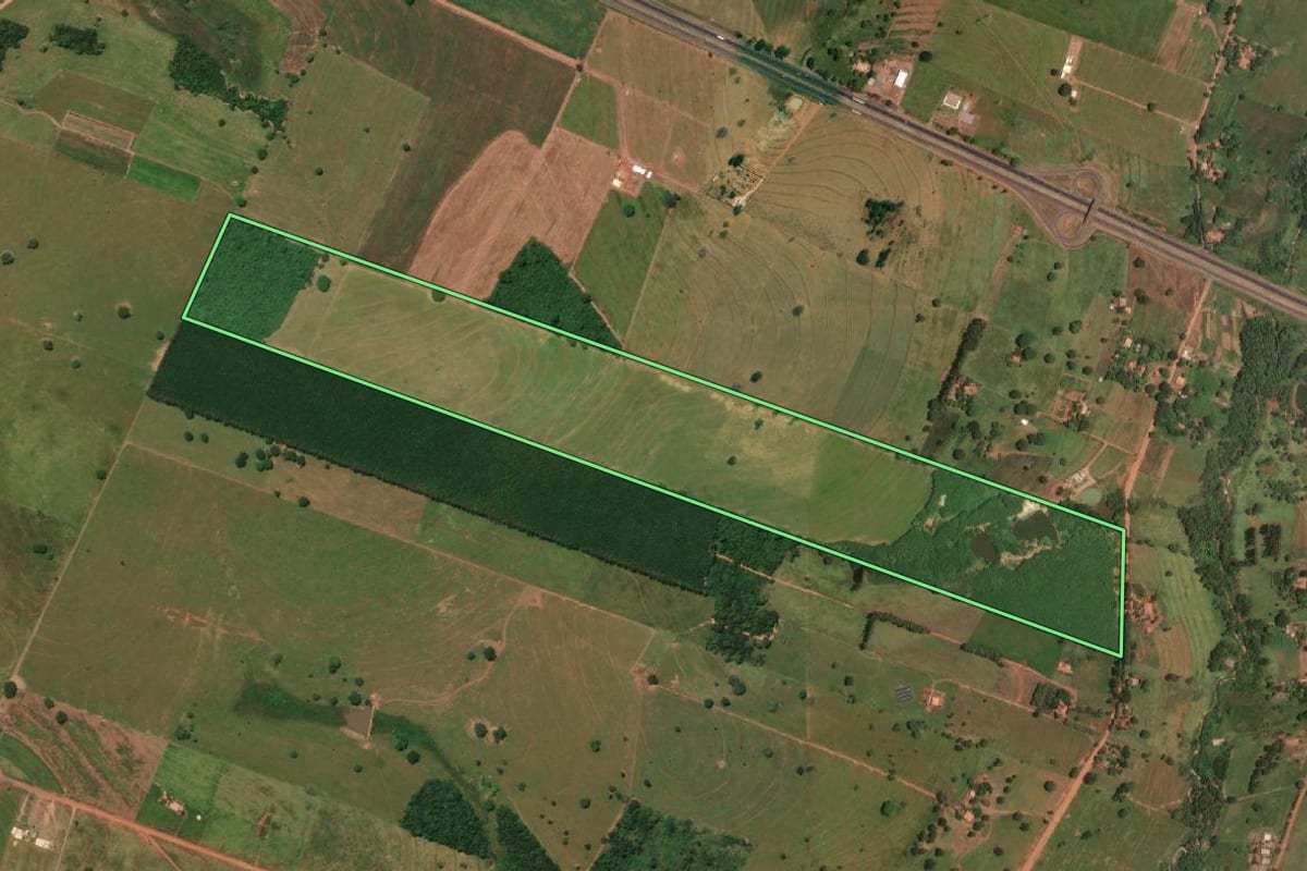 Imagem de satélite do imóvel rural em Meridiano (SP), com o contorno declarado no CAR desenhado por cima.