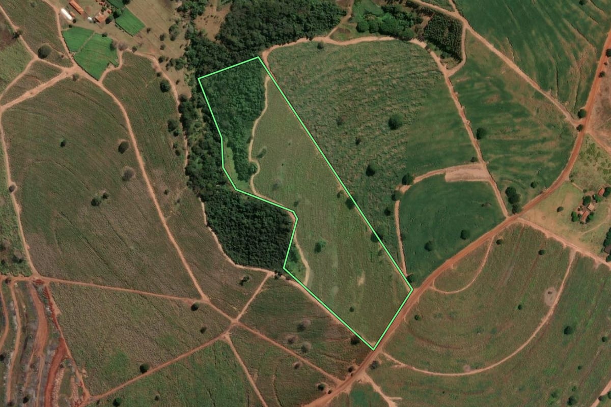 Imagem de satélite do imóvel rural em Meridiano (SP), com o contorno declarado no CAR desenhado por cima.