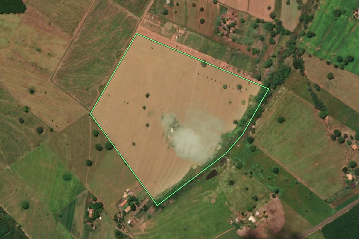 Imagem de satélite do imóvel rural em Meridiano (SP), com o contorno declarado no CAR desenhado por cima.