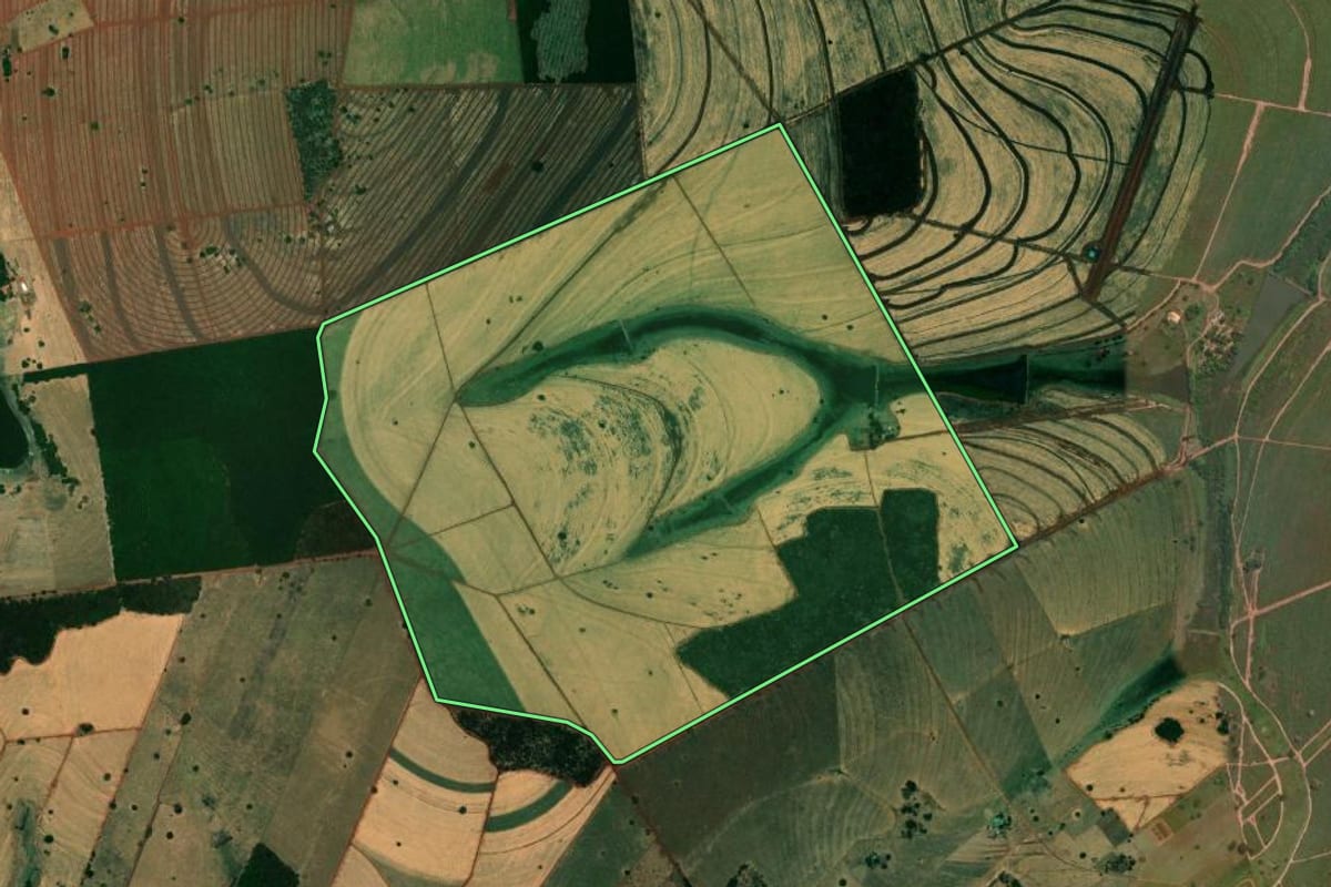 Imagem de satélite do imóvel rural em Mesópolis (SP), com o contorno declarado no CAR desenhado por cima.