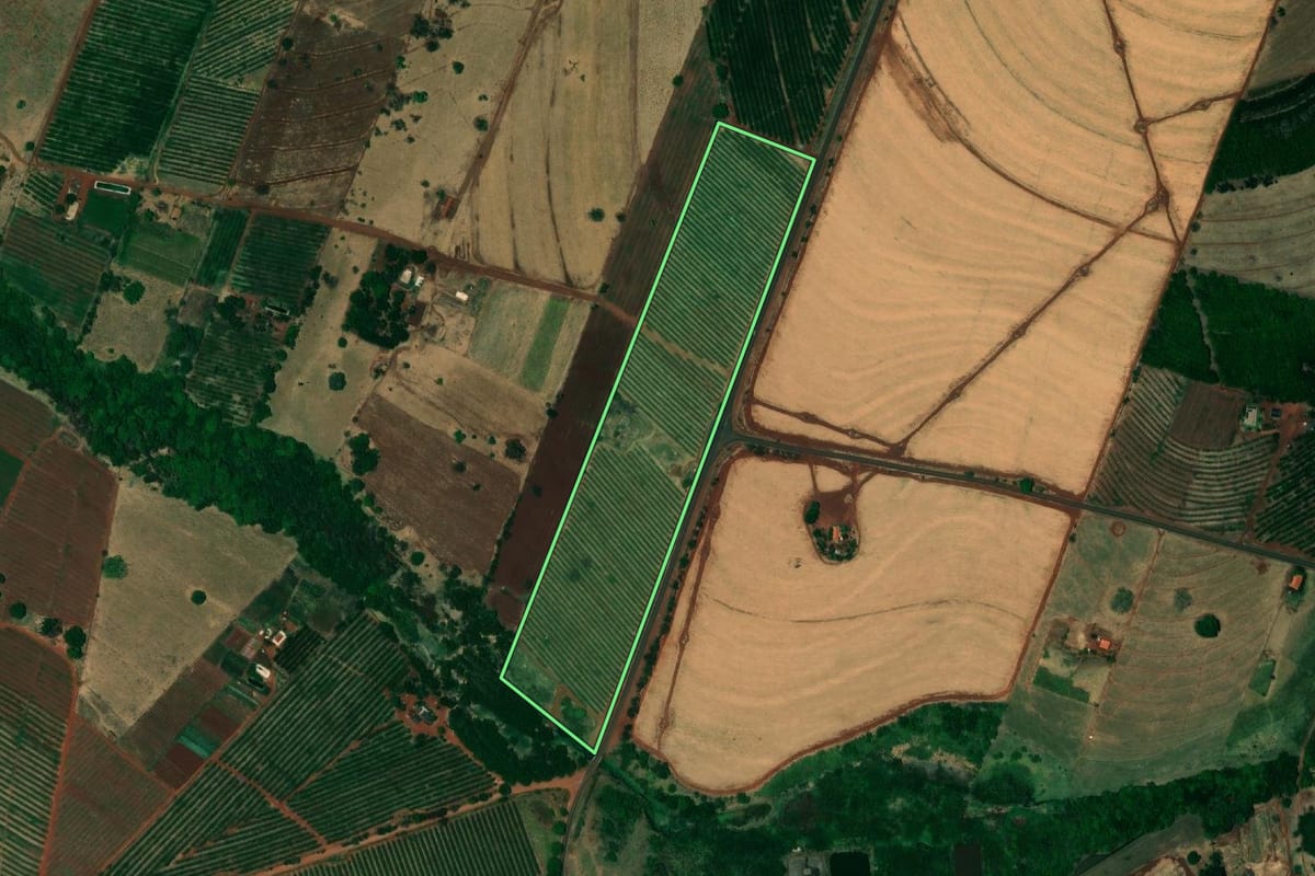 Imagem de satélite do imóvel rural em Mesópolis (SP), com o contorno declarado no CAR desenhado por cima.