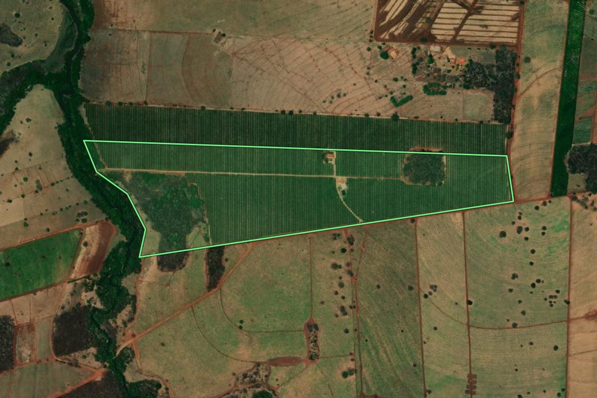 Imagem de satélite do imóvel rural em Mesópolis (SP), com o contorno declarado no CAR desenhado por cima.