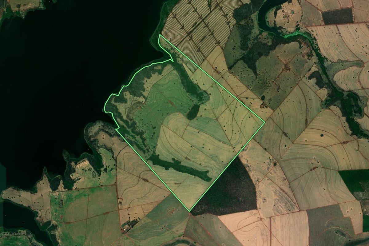 Imagem de satélite do imóvel rural em Mesópolis (SP), com o contorno declarado no CAR desenhado por cima.