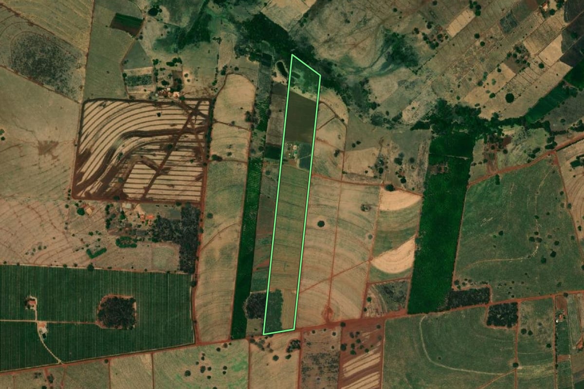 Imagem de satélite do imóvel rural em Mesópolis (SP), com o contorno declarado no CAR desenhado por cima.