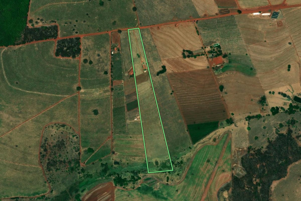 Imagem de satélite do imóvel rural em Mesópolis (SP), com o contorno declarado no CAR desenhado por cima.