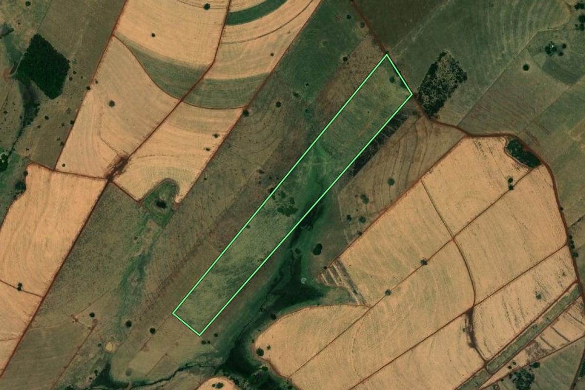 Imagem de satélite do imóvel rural em Mesópolis (SP), com o contorno declarado no CAR desenhado por cima.