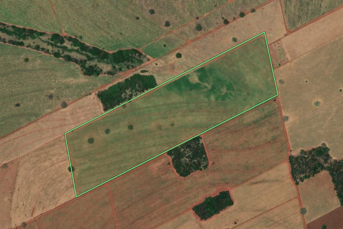 Imagem de satélite do imóvel rural em Mesópolis (SP), com o contorno declarado no CAR desenhado por cima.