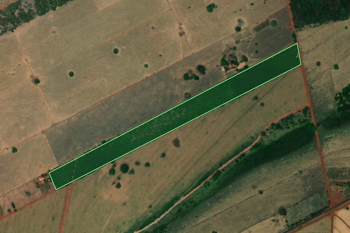 Imagem de satélite do imóvel rural em Mesópolis (SP), com o contorno declarado no CAR desenhado por cima.