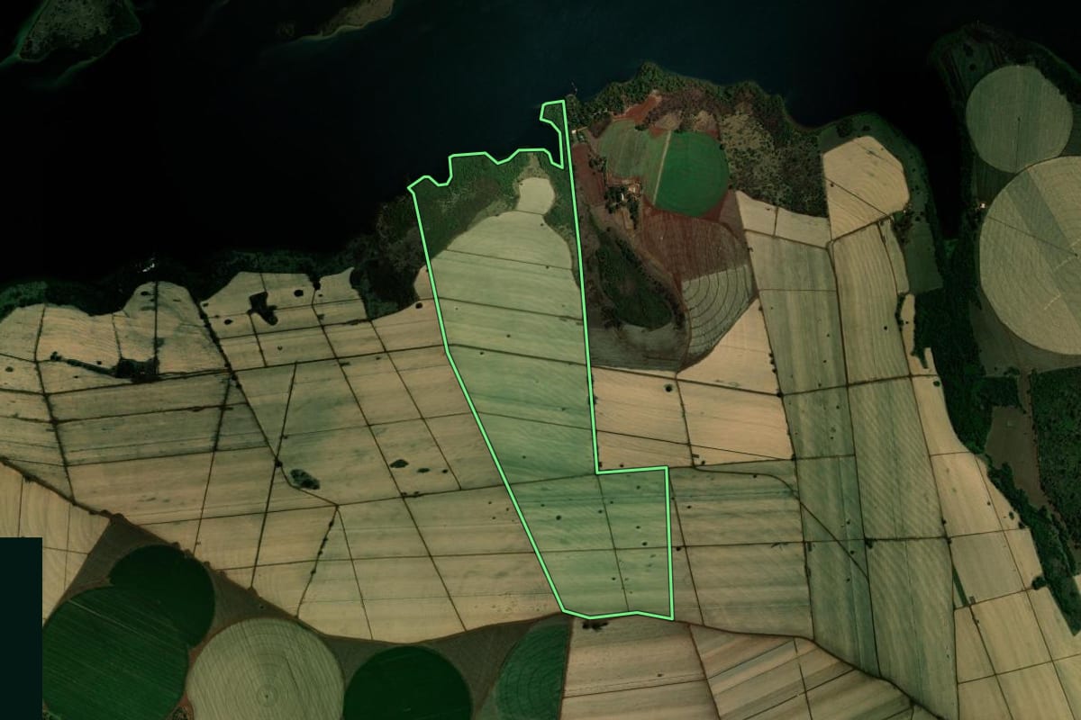 Imagem de satélite do imóvel rural em Miguelópolis (SP), com o contorno declarado no CAR desenhado por cima.
