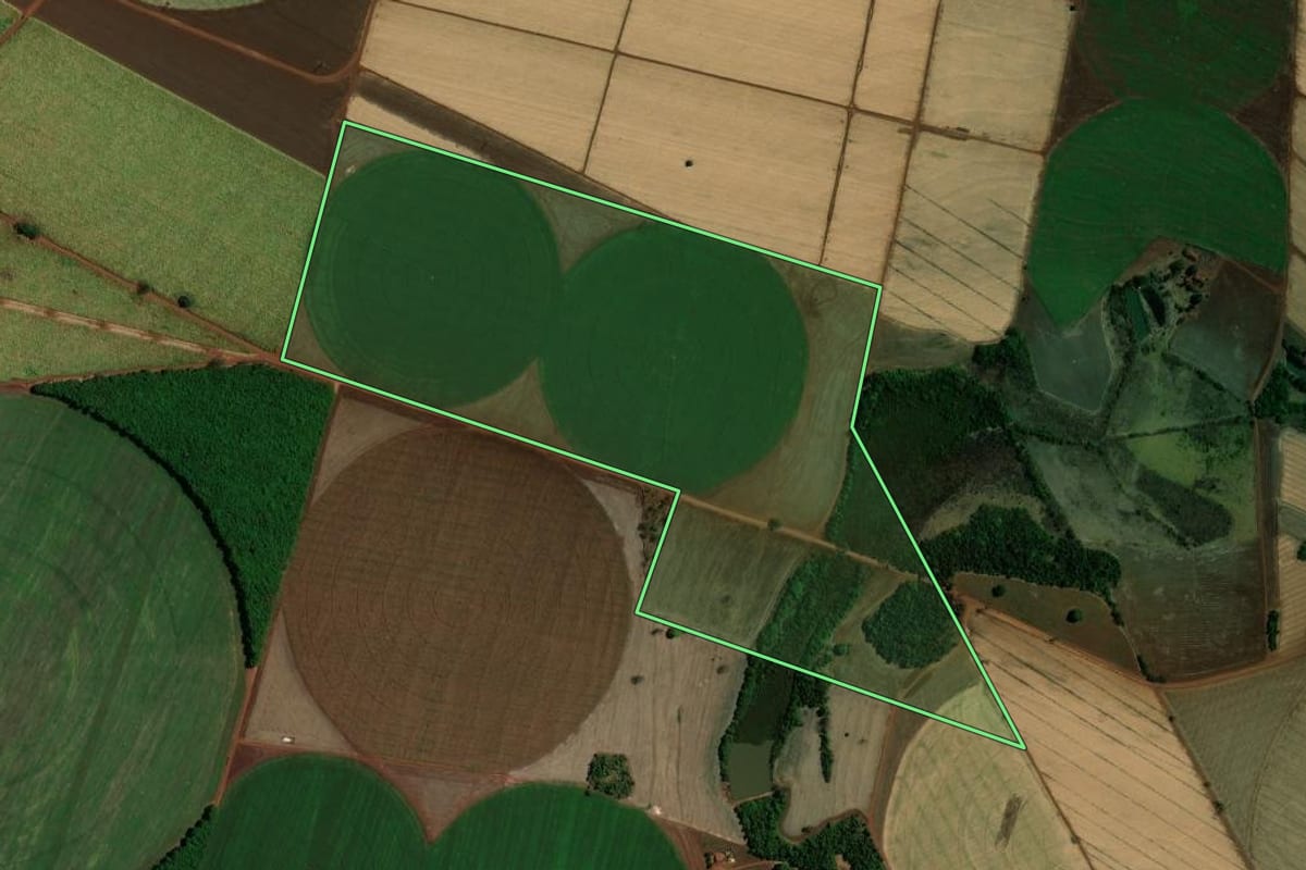 Imagem de satélite do imóvel rural em Miguelópolis (SP), com o contorno declarado no CAR desenhado por cima.