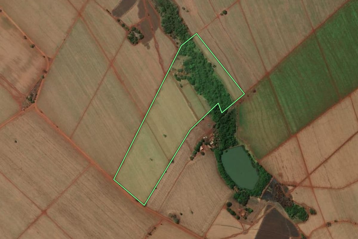 Imagem de satélite do imóvel rural em Miguelópolis (SP), com o contorno declarado no CAR desenhado por cima.