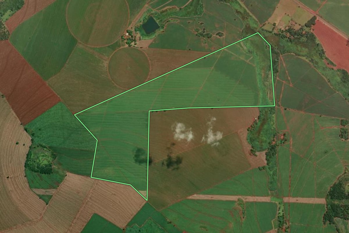 Imagem de satélite do imóvel rural em Miguelópolis (SP), com o contorno declarado no CAR desenhado por cima.