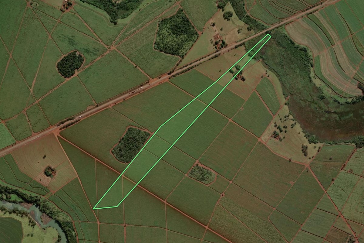 Imagem de satélite do imóvel rural em Miguelópolis (SP), com o contorno declarado no CAR desenhado por cima.