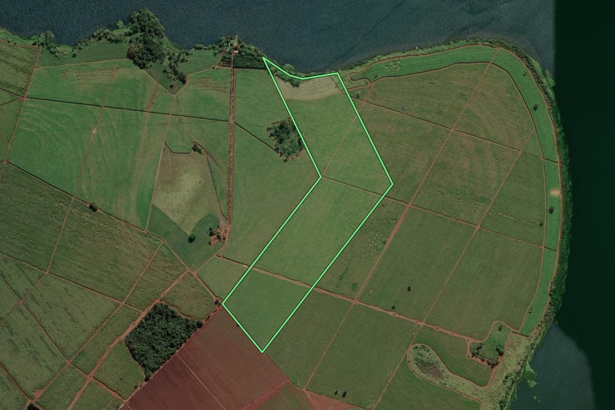 Imagem de satélite do imóvel rural em Miguelópolis (SP), com o contorno declarado no CAR desenhado por cima.