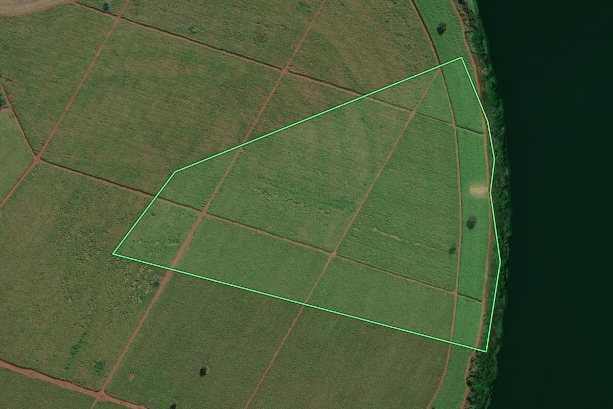 Imagem de satélite do imóvel rural em Miguelópolis (SP), com o contorno declarado no CAR desenhado por cima.