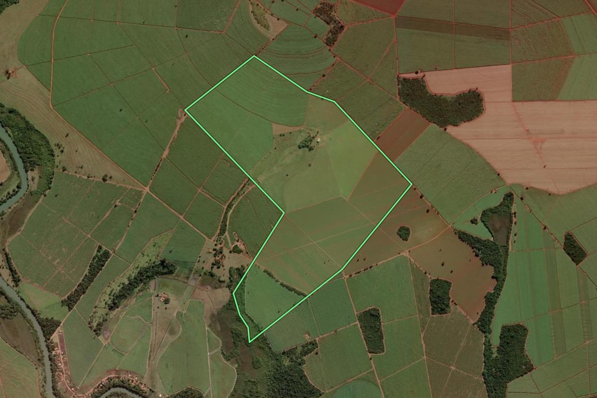 Imagem de satélite do imóvel rural em Miguelópolis (SP), com o contorno declarado no CAR desenhado por cima.