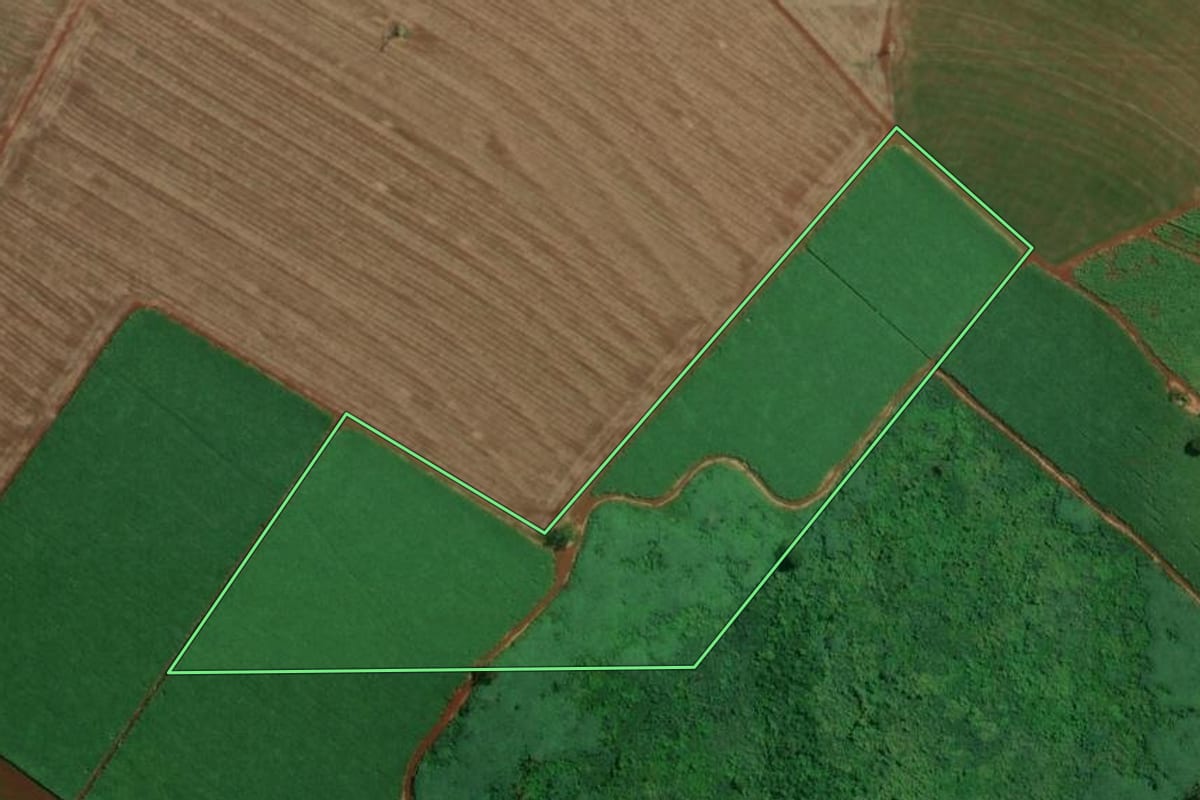 Imagem de satélite do imóvel rural em Miguelópolis (SP), com o contorno declarado no CAR desenhado por cima.