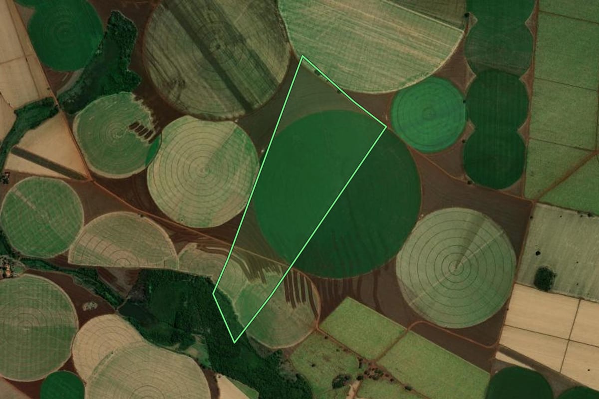 Imagem de satélite do imóvel rural em Miguelópolis (SP), com o contorno declarado no CAR desenhado por cima.