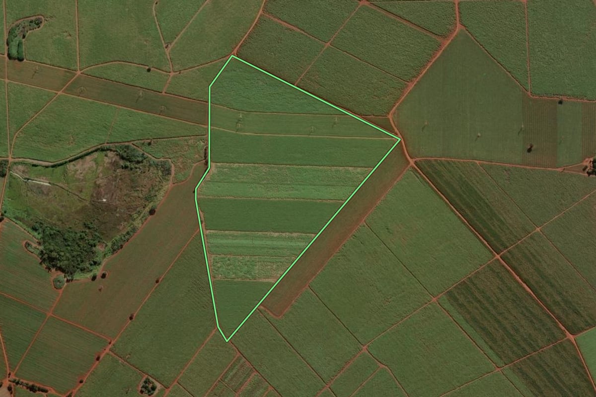 Imagem de satélite do imóvel rural em Miguelópolis (SP), com o contorno declarado no CAR desenhado por cima.