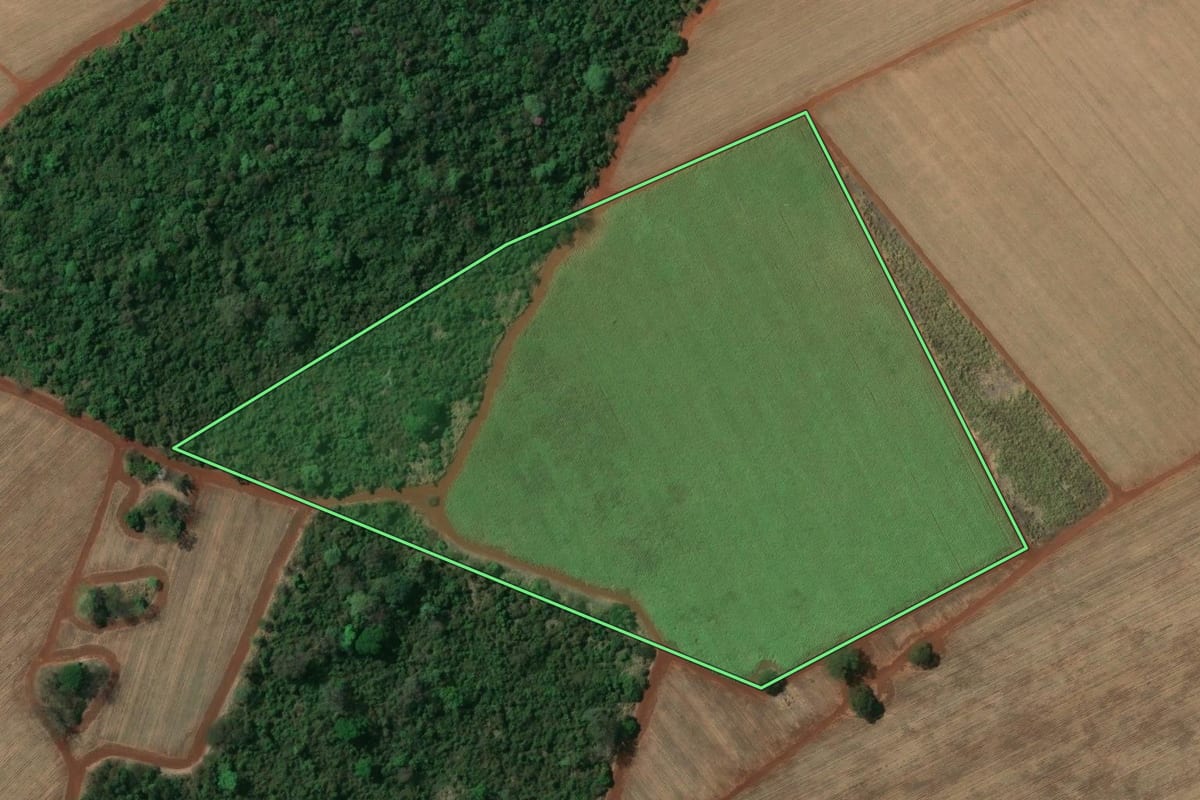 Imagem de satélite do imóvel rural em Miguelópolis (SP), com o contorno declarado no CAR desenhado por cima.