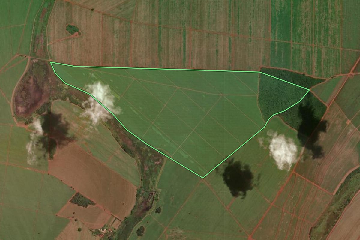 Imagem de satélite do imóvel rural em Miguelópolis (SP), com o contorno declarado no CAR desenhado por cima.